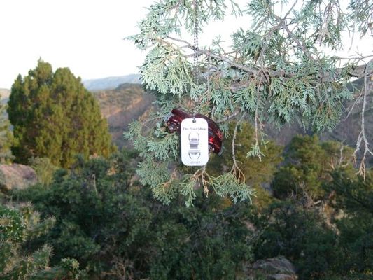 Travel Bug from Kentucky
