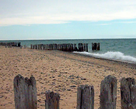 Cribs remains
Cribs are built of wood and used to anchor structures in water such a docks.
