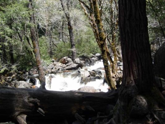 yosemite016.jpg