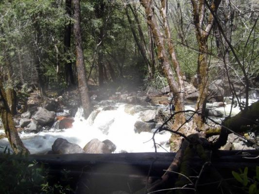 yosemite021.jpg