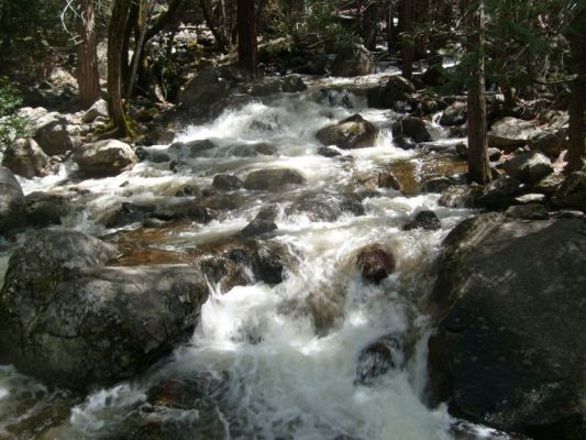 yosemite023.jpg