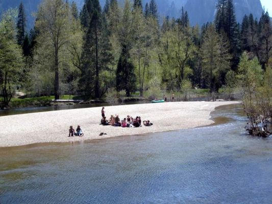Picnic on the river island
