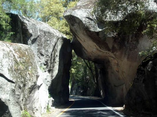Entrance to Yosemite - Southern
