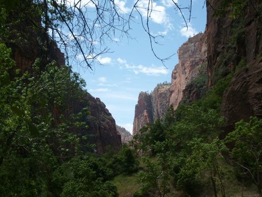Zion018.jpg