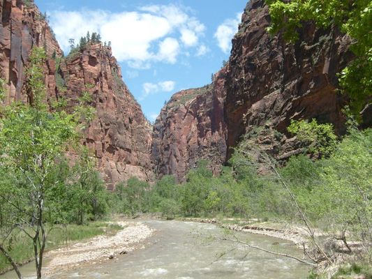Zion022.jpg