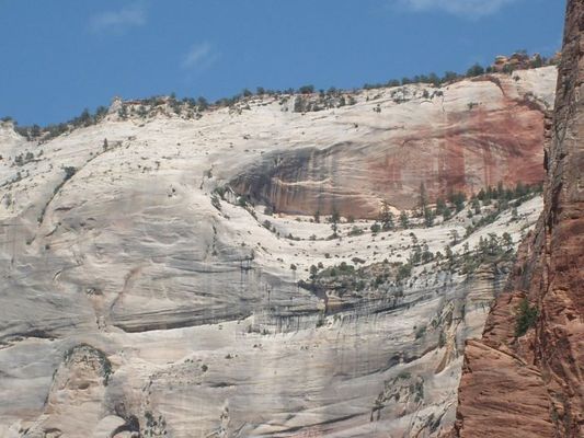 Zion026.jpg