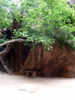 Filename=Zion006.jpg
Filesize=96KiB
Dimensions=576x768
Date added=Jul 04, 2011 Zion006.jpg