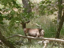 Filename=Zion021.jpg
Filesize=84KiB
Dimensions=768x576
Date added=Jul 04, 2011 Zion021.jpg