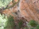 Filename=Zion034.jpg
Filesize=136KiB
Dimensions=768x576
Date added=Jul 04, 2011 Zion034.jpg