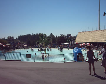 Wild Waves for kiddies
