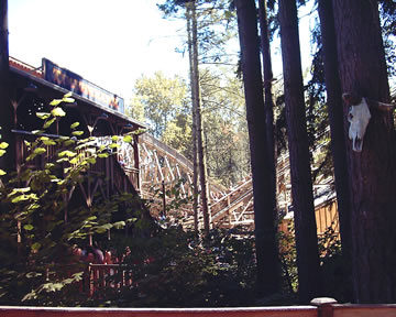 The wooden roller coaster Timber Hawk
